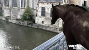AR лошадь ставит новую планку в мире дополненной реальности
