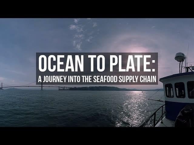 VR фильм «Ocean To Plate» показывает зрителям темные тайны производства морепродуктов