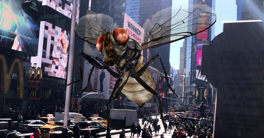 На Хэллоуин Нью-Йорк Таймс напугает подписчиков жуткими AR насекомыми