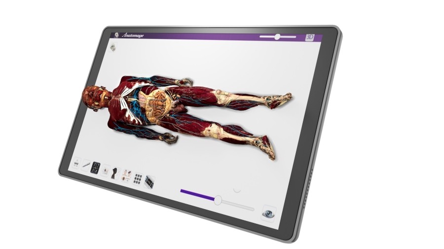 Anatomage VR - реалистичное приложение для обучения анатомии человека