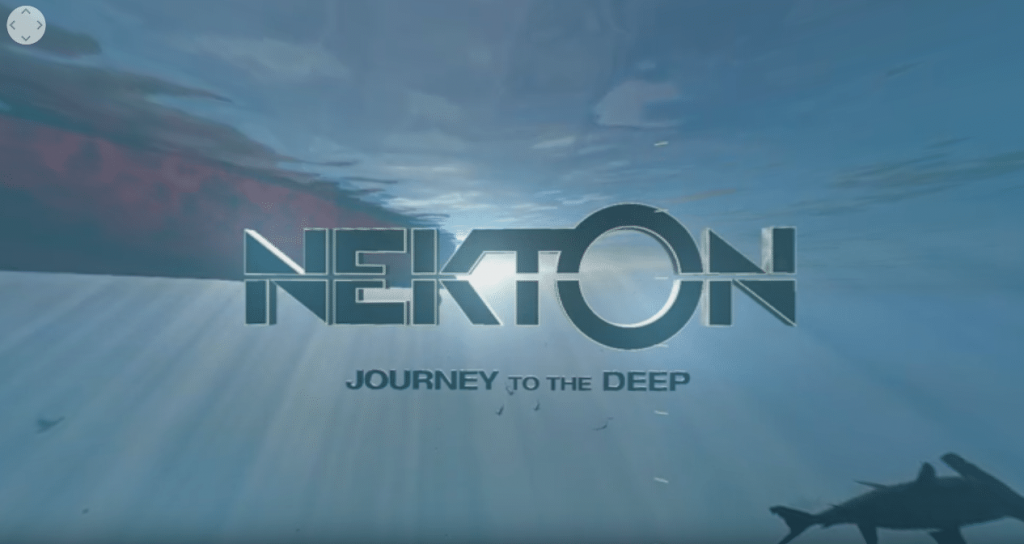 Проект «Нектон»: возможность путешествовать по морским просторам