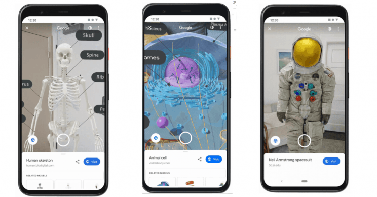 Скелет человека и Аполлон 11 — новые AR-объекты в поиске Google